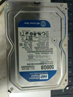 Жесткий диск WD 500 Gb  - купить на сайте объявлений Армавир онлайн