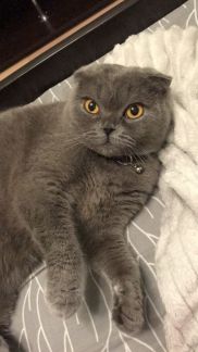 Вязка  - купить на сайте объявлений Армавир онлайн