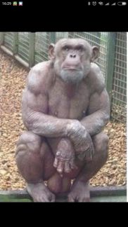 Мелкий ремонт по дому  - купить на сайте объявлений Армавир онлайн