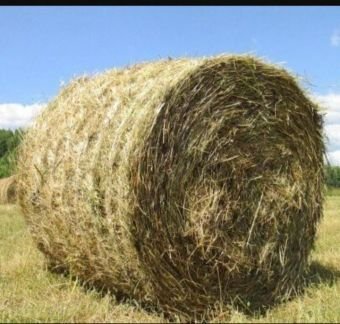 Сено луговое  - купить на сайте объявлений Армавир онлайн
