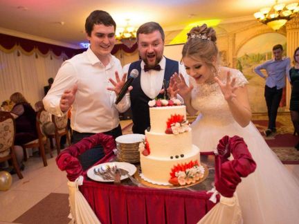 Ведущий на свадьбу, музыканты  Армавир