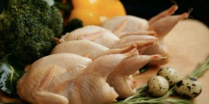 Мясо домашних перепелов  Армавир