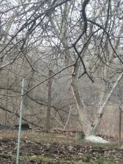 Участок 6 сот. (СНТ, ДНП)  - купить на сайте объявлений Армавир онлайн