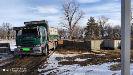 Доставка  - купить на сайте объявлений Армавир онлайн