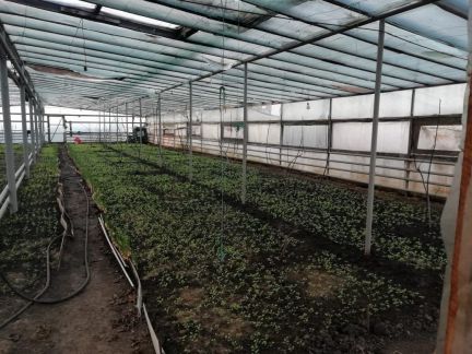 Участок 10 (ИЖС)  - купить на сайте объявлений Армавир онлайн