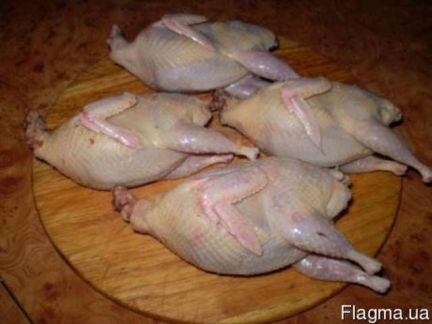 Мясо и яйца домашних перепелов  - купить на сайте объявлений Армавир онлайн
