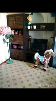 Дом 53 м кв. на участке 5 сот.  - купить на сайте объявлений Армавир онлайн