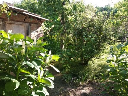 Участок 7 сот. (СНТ, ДНП)  - купить на сайте объявлений Армавир онлайн