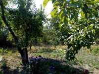 Участок 6 сот. (СНТ, ДНП)  - купить на сайте объявлений Армавир онлайн