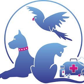 «Ветуправление» Ветеринарные услуги, вызов на дом:  - купить на сайте объявлений Армавир онлайн