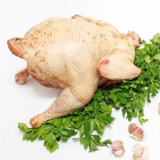 Бройлер  - купить на сайте объявлений Армавир онлайн