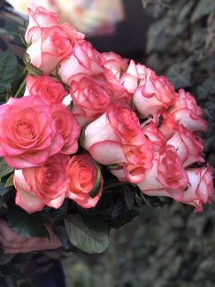 Цветы живые  - купить на сайте объявлений Армавир онлайн