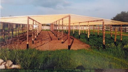 Участок 15 сот. (ИЖС)  - купить на сайте объявлений Армавир онлайн