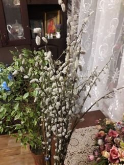 Услуги  - купить на сайте объявлений Армавир онлайн