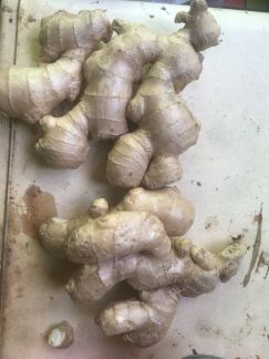 Имбирь  - купить на сайте объявлений Армавир онлайн