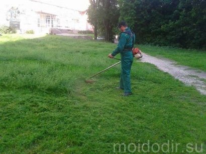 Покос травы  - купить на сайте объявлений Армавир онлайн