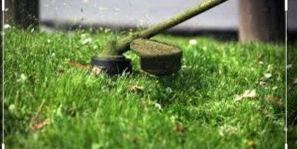 Покос травы  - купить на сайте объявлений Армавир онлайн