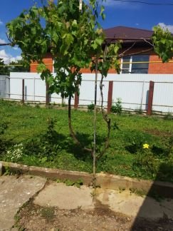 Участок 5 сот. (ИЖС)  - купить на сайте объявлений Армавир онлайн