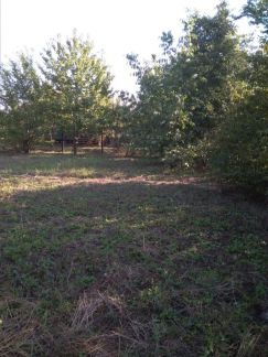 Участок 5 сот. (СНТ, ДНП)  - купить на сайте объявлений Армавир онлайн