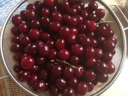 Вишня  - купить на сайте объявлений Армавир онлайн