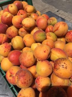 Абрикосы  - купить на сайте объявлений Армавир онлайн